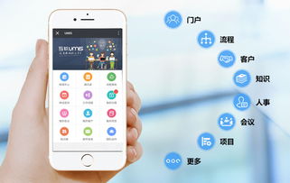 上?；ヂ摼W軟件集團 高端協同管理軟件與安全服務解決方案