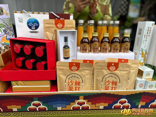 甘南州農(nóng)特產(chǎn)品促銷暨招商引資活動在成都圓滿舉行，簽署5200萬元工藝美術(shù)品及禮儀用品供銷協(xié)議